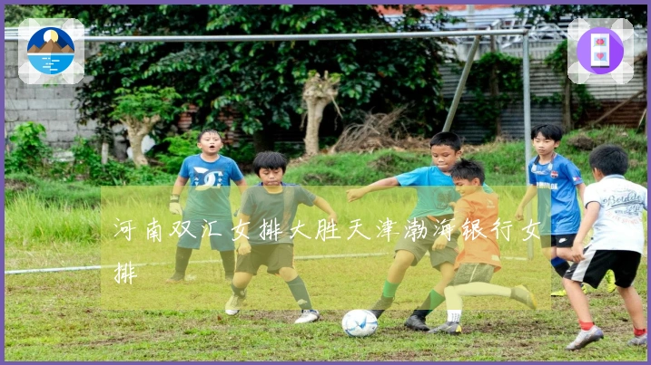 河南双汇女排大胜天津渤海银行女排