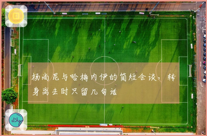 杨尚昆与哈梅内伊的简短会谈，转身离去时只留几句话