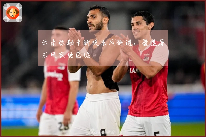云南弥勒市新设东风街道，覆盖原东风农场区域